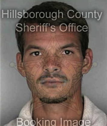 Steven Marcano - Hillsborough County, FL 