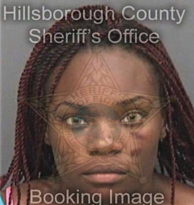 Tameka Pierce, - Hillsborough County, FL 