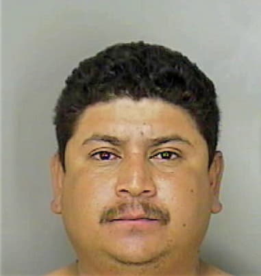 Alejandro Ramirez-Gonzalez, - Polk County, FL 