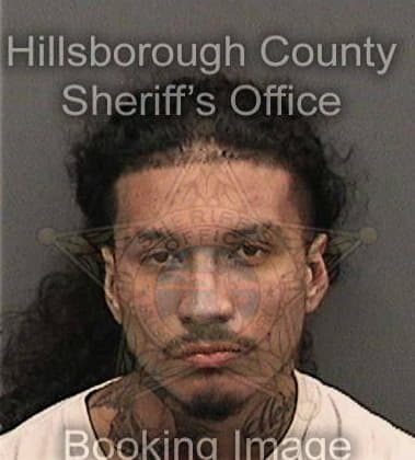 Luis Salvador-Cruz, - Hillsborough County, FL 