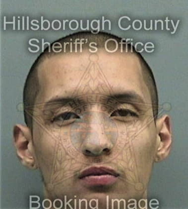 Haitham Suleiman, - Hillsborough County, FL 