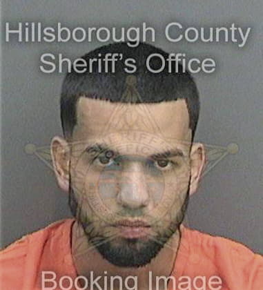 Anthony Velasquez, - Hillsborough County, FL 