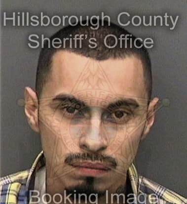 Sean Brady - Hillsborough County, FL 