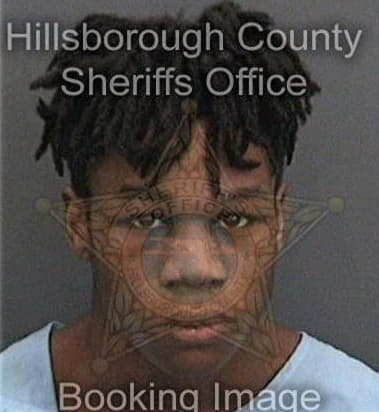 Ronald Brooks, - Hillsborough County, FL 