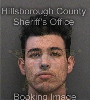 Alejandro Canaveraardila, - Hillsborough County, FL 