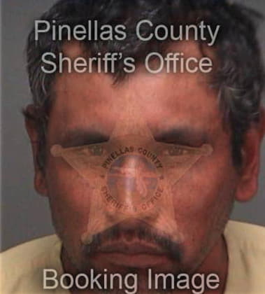 Enrique Caudillo, - Pinellas County, FL 