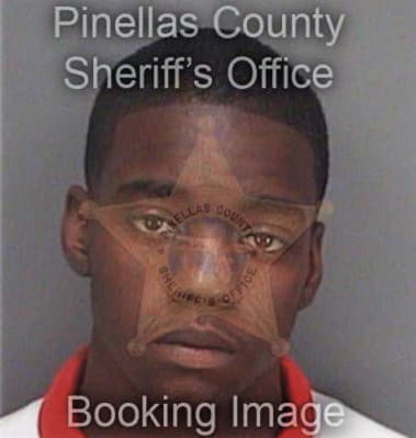 Brian Fowler, - Pinellas County, FL 