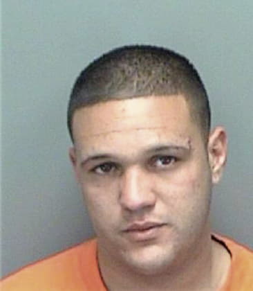 Christopher Huerta, - Pinellas County, FL 