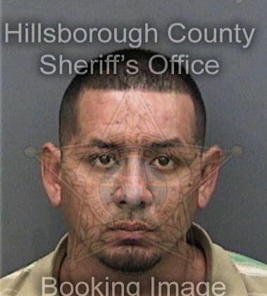 Jarred Proctor, - Hillsborough County, FL 