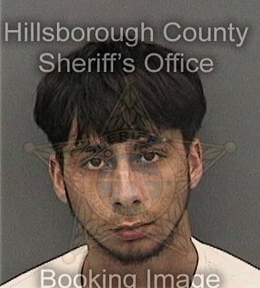 Antonio Reyes, - Hillsborough County, FL 