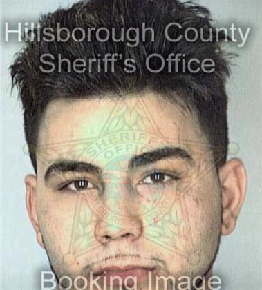 Richard Schulman, - Hillsborough County, FL 