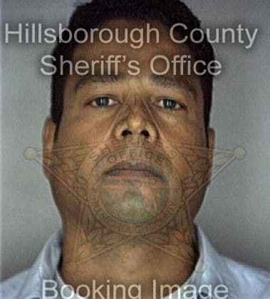 Abed Alemanlopez, - Hillsborough County, FL 