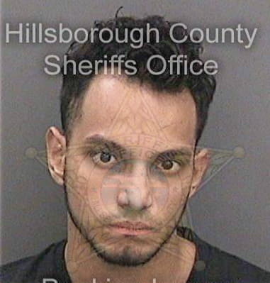 Jeffrey Beals, - Hillsborough County, FL 