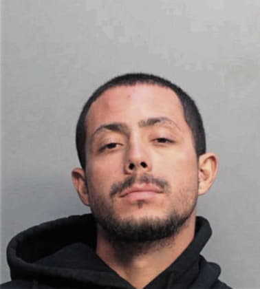 Danilo Brizuela-Sanchez, - Dade County, FL 