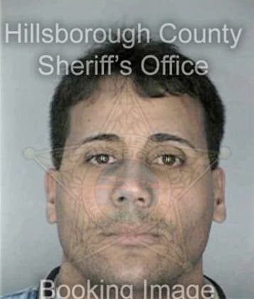 Artemio Cervantesvargas, - Hillsborough County, FL 