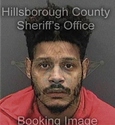 Glenroy Clarke - Hillsborough County, FL 