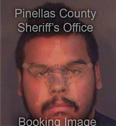 Francisco Jahueytrejo, - Pinellas County, FL 