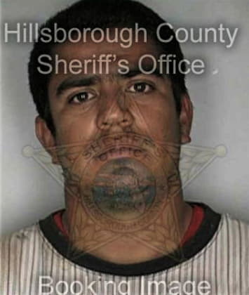 Earl Miller - Hillsborough County, FL 