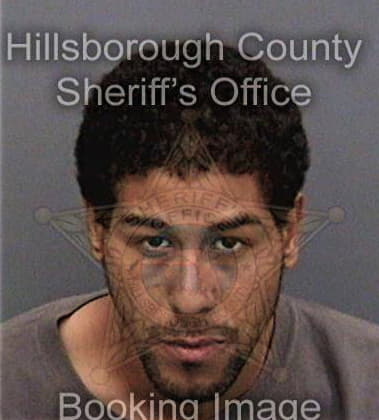 Joel Pruett, - Hillsborough County, FL 