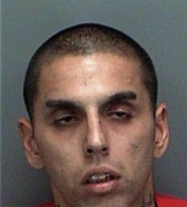 Luis Castanoalzate, - Pinellas County, FL 