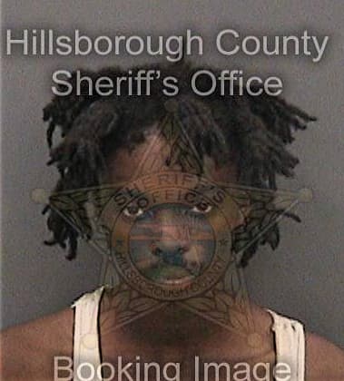 Michael Chaney, - Hillsborough County, FL 