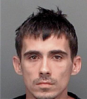 Philip Dipollo, - Pinellas County, FL 