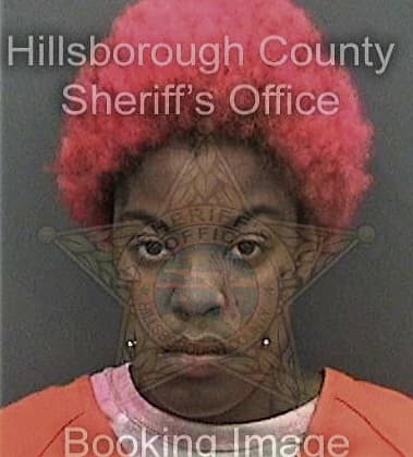 Myeshia Dozier, - Hillsborough County, FL 