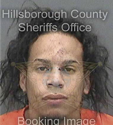 Alexander Fernandezvaldes, - Hillsborough County, FL 