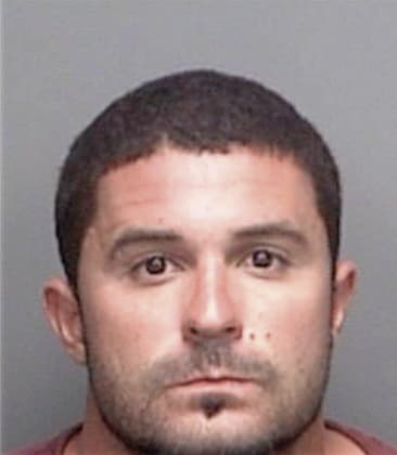 Vincent Pari, - Pinellas County, FL 