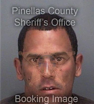 Felipe Rodriguezalanis, - Pinellas County, FL 