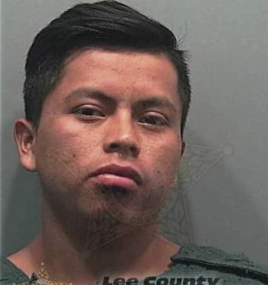 Juan Susana, - Lee County, FL 