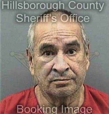 Kermit Arroyogonzalez, - Hillsborough County, FL 