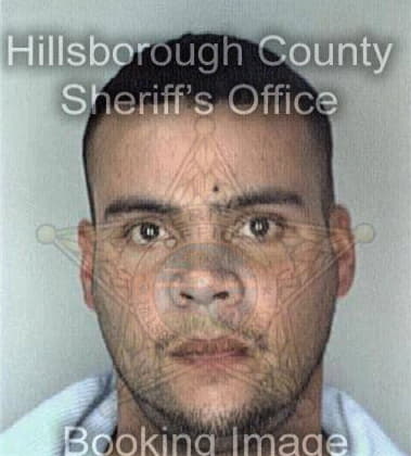 Pasquale Berardi, - Hillsborough County, FL 