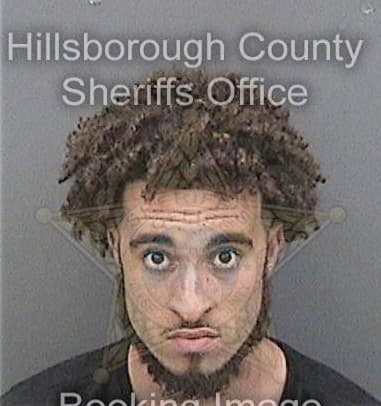 Peter Hollowell, - Hillsborough County, FL 