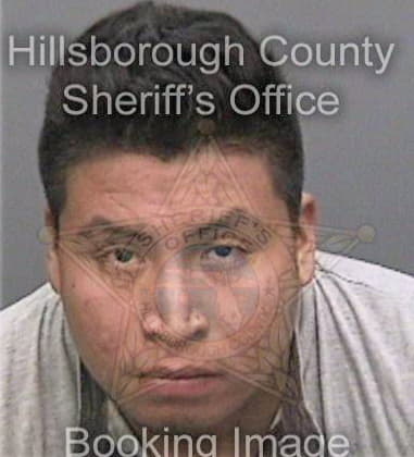 Rolando Martinezperez, - Hillsborough County, FL 