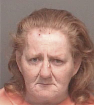 Janine McKinney - Pinellas County, FL 