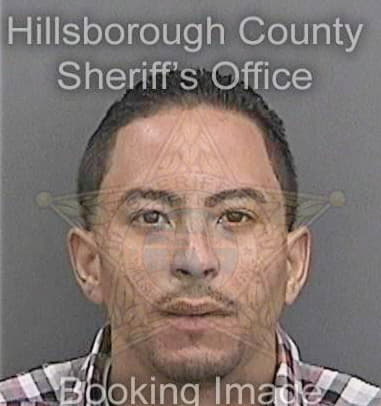 Ramon Santiagoestevez, - Hillsborough County, FL 