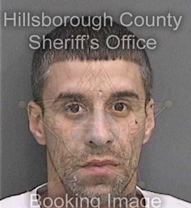 Franciso Solerreillo, - Hillsborough County, FL 