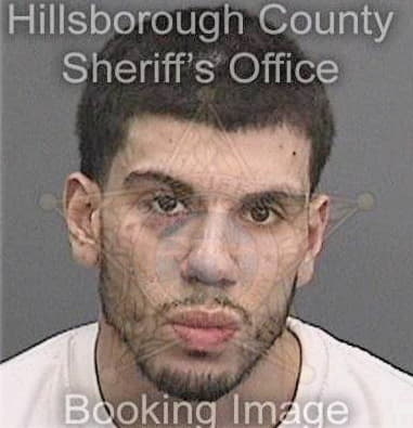 Barbaro Bernal, - Hillsborough County, FL 