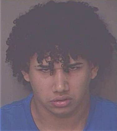 Julio Melendez-Diaz, - Osceola County, FL 