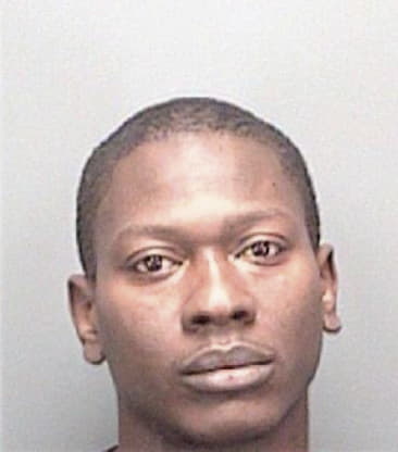 Kenneth Newman, - Pinellas County, FL 