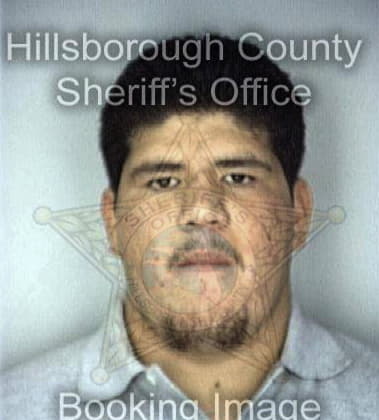 Pedro Suarez, - Hillsborough County, FL 