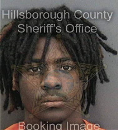 Billy Williams - Hillsborough County, FL 