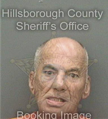 Santiago Camachomartinez, - Hillsborough County, FL 