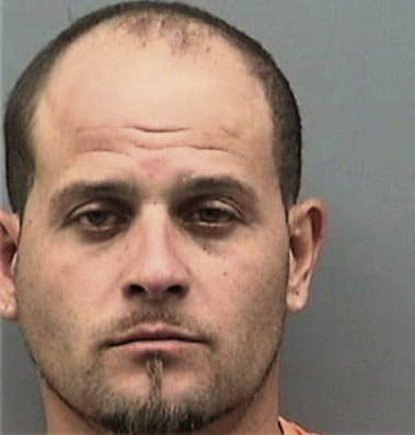 Joffrey Dirani, - Hillsborough County, FL 