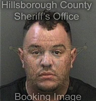 Sherif Elganainy, - Hillsborough County, FL 