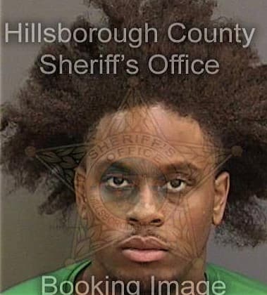 Gabriel Jenkins, - Hillsborough County, FL 