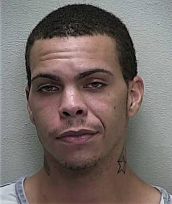 Travis Lee, - Marion County, FL 