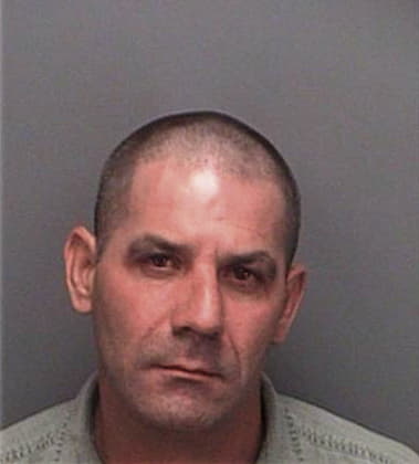 Rogelio Velezzarabia, - Pinellas County, FL 