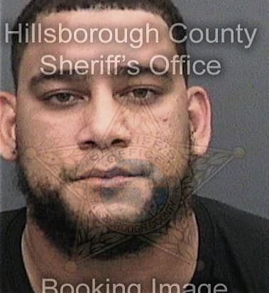 Danny Walizer, - Hillsborough County, FL 